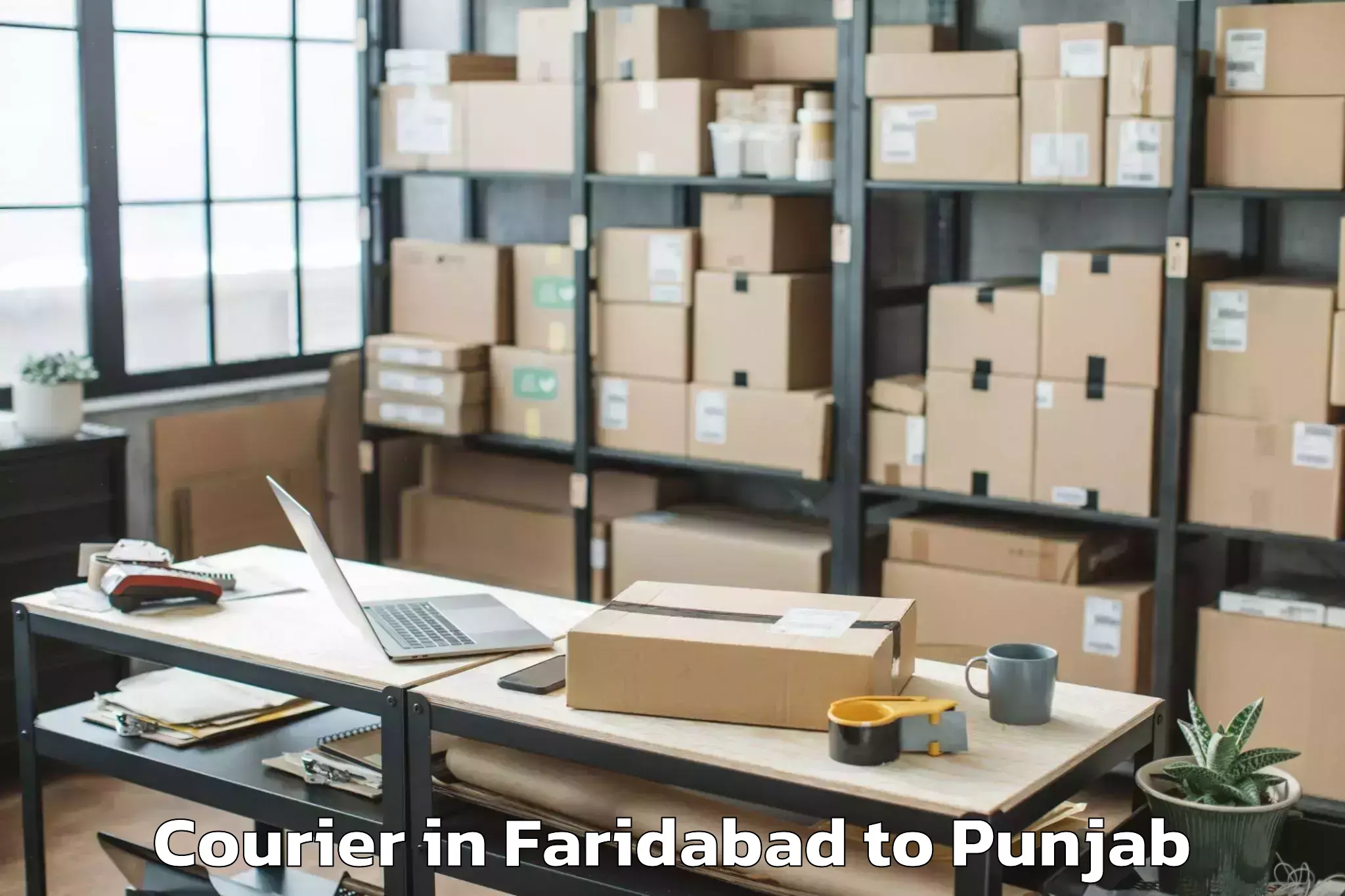 Book Your Faridabad to Raikot Courier Today